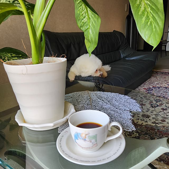 takoさんの部屋