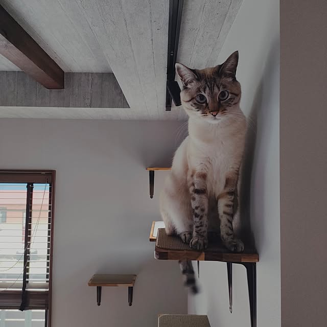 Atelier_tamakiさんの実例写真