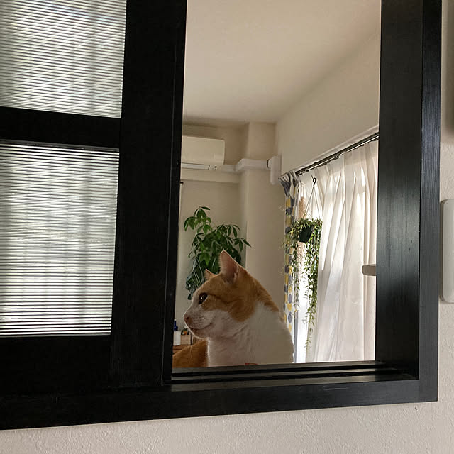 73さんの実例写真