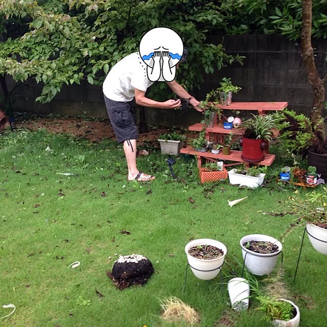 enikkiさんの実例写真