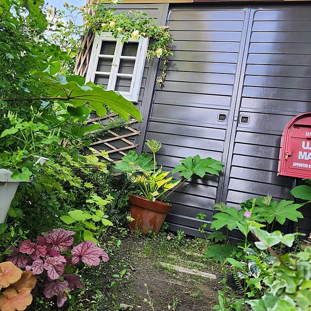 GreenHomeさんの部屋