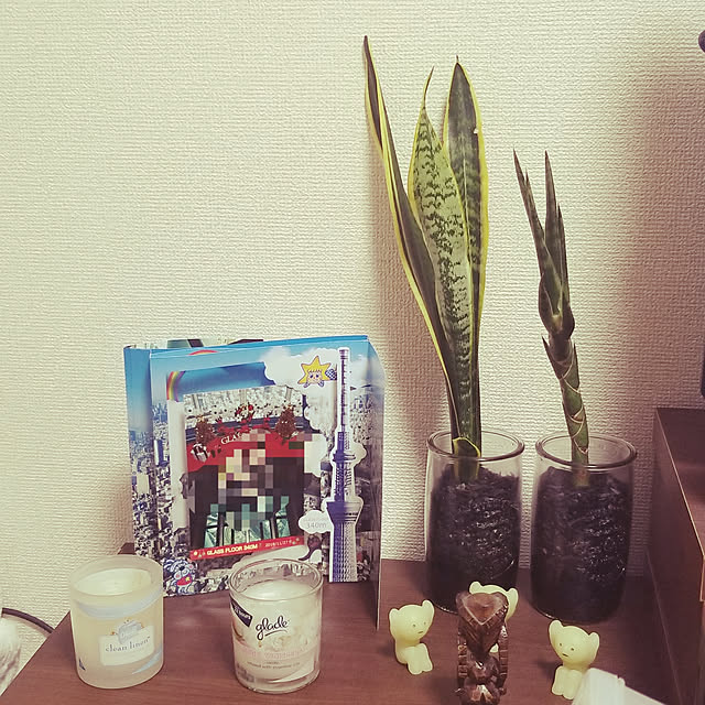 Pattyさんの実例写真