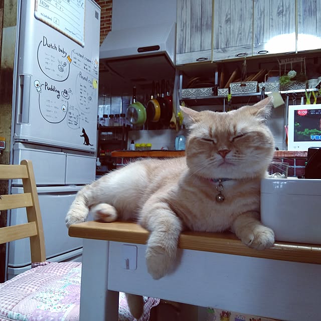 mntcさんの実例写真