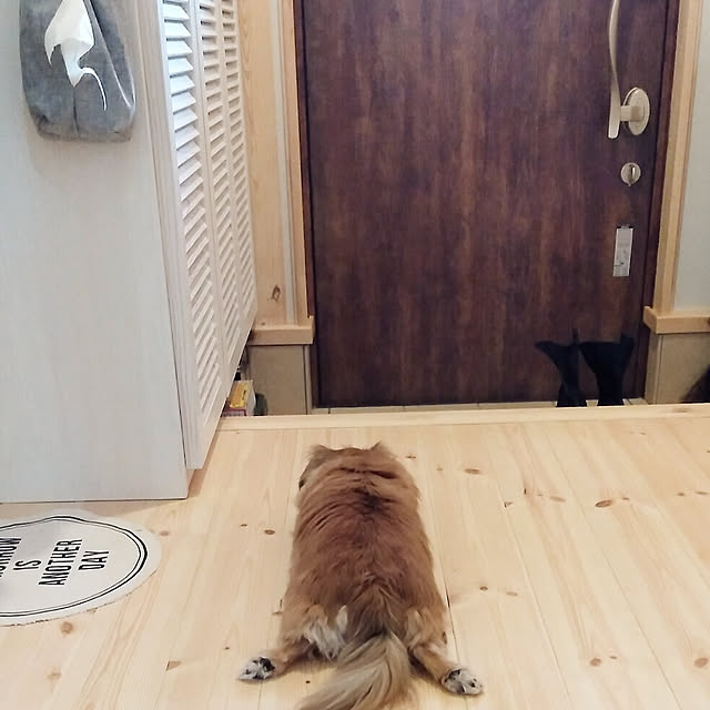 wrcwg024さんの実例写真