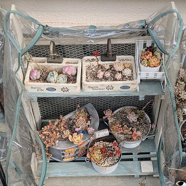 purpureさんの部屋