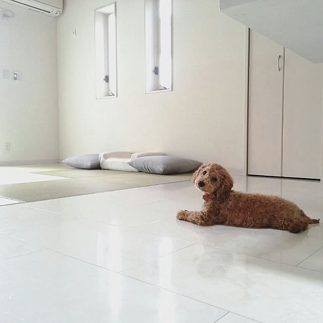 naoさんの実例写真