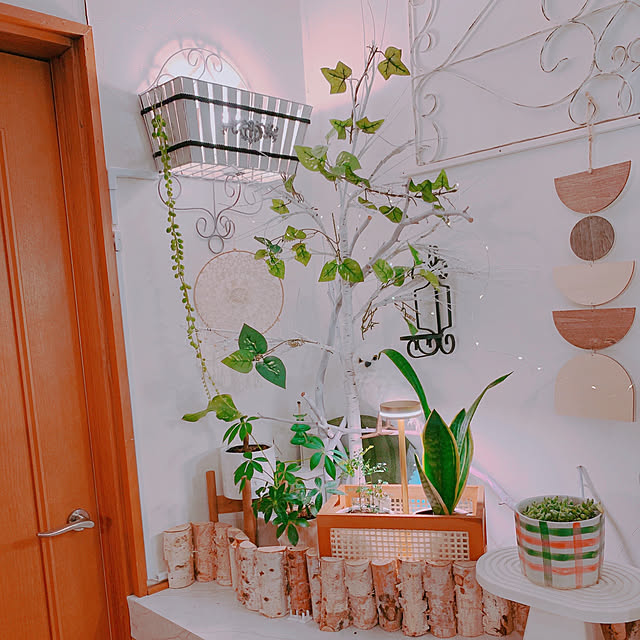 moonさんの部屋