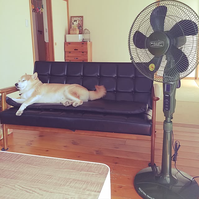 banzaigerさんの実例写真