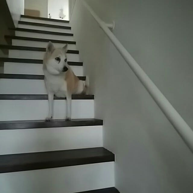 meroさんの実例写真
