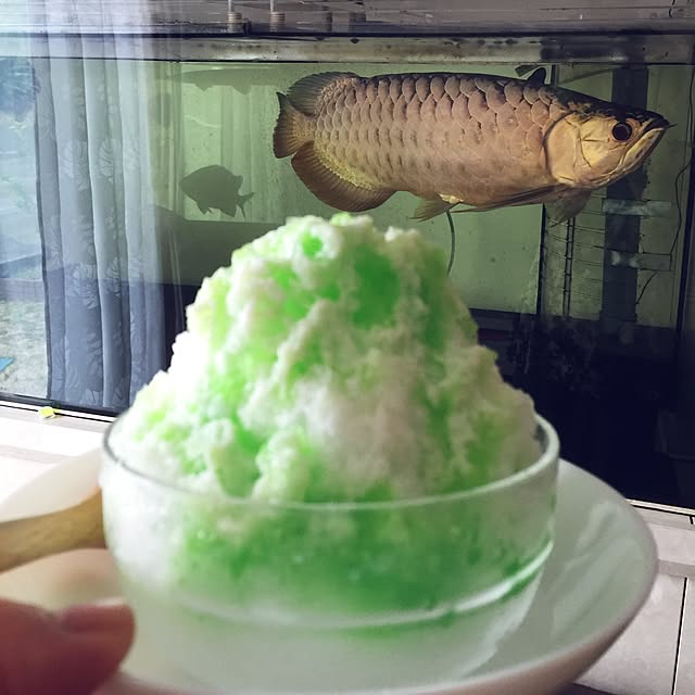 aiさんの実例写真