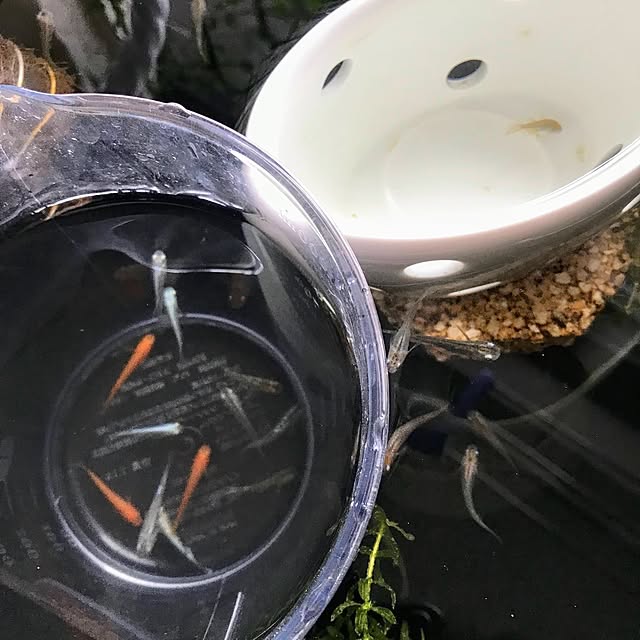 mi-saさんの部屋