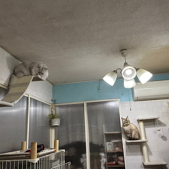 ikunyanさんの部屋