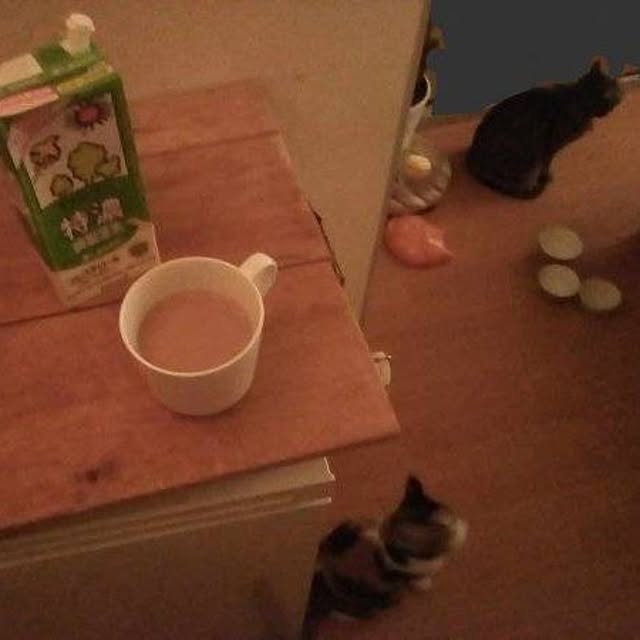 catloveさんの部屋