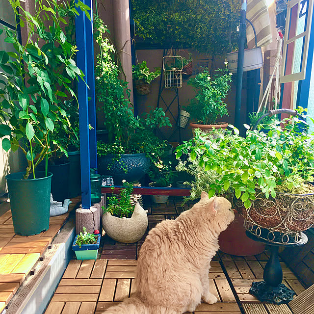 naokoさんの部屋