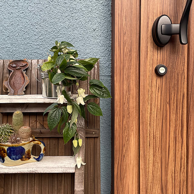 nobikoさんの部屋