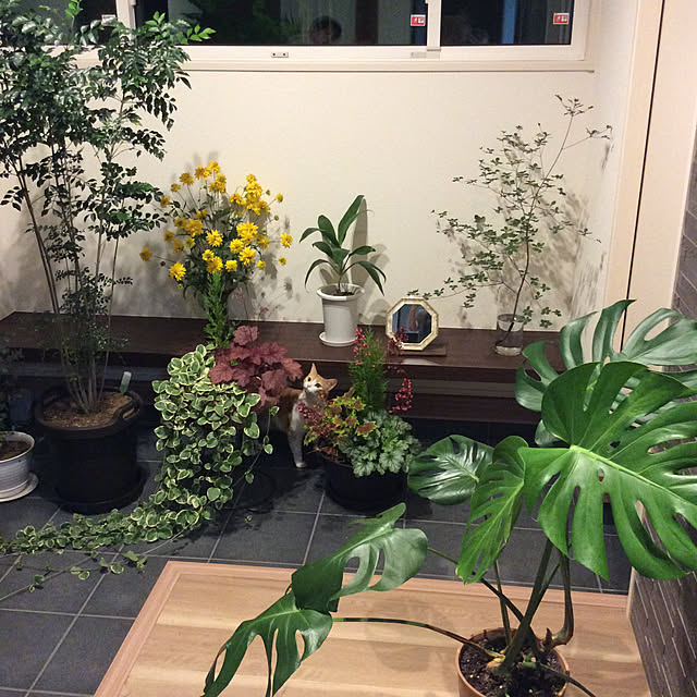 houenさんの実例写真