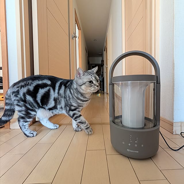 lovepeaceさんの実例写真