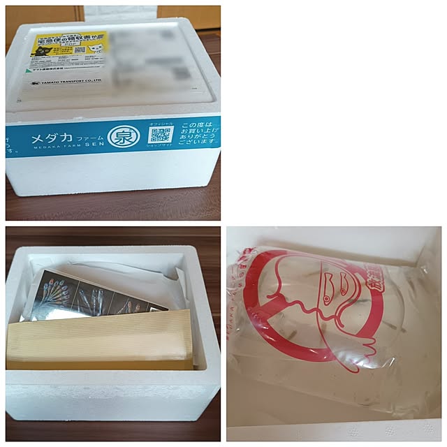 soyokoさんの部屋