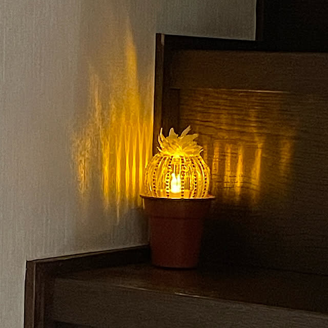 momocchiさんの実例写真