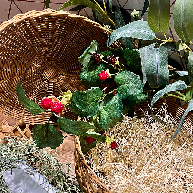 cotaさんの部屋