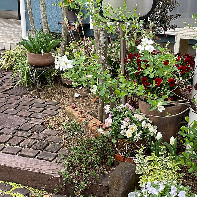 nobikoさんの部屋