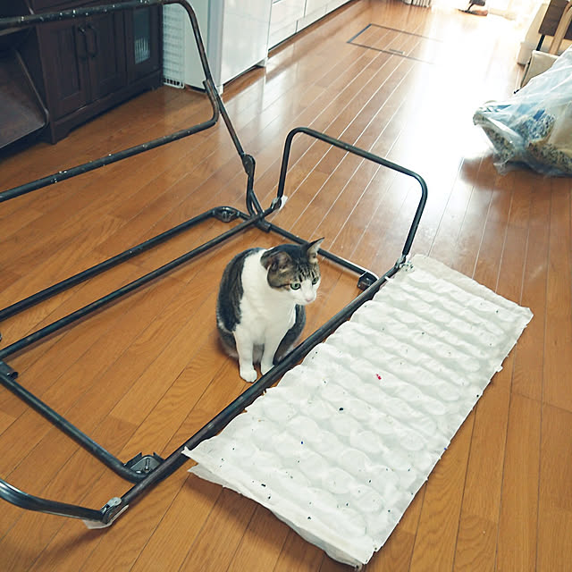 nachiさんの実例写真