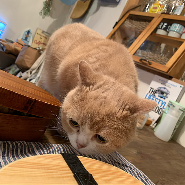 maruさんの実例写真