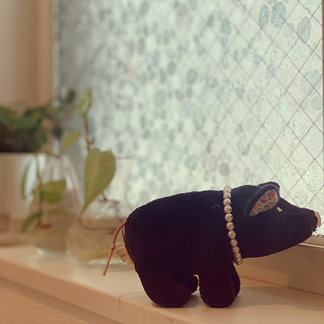 sakiさんの部屋