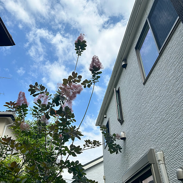 hatsugaさんの部屋