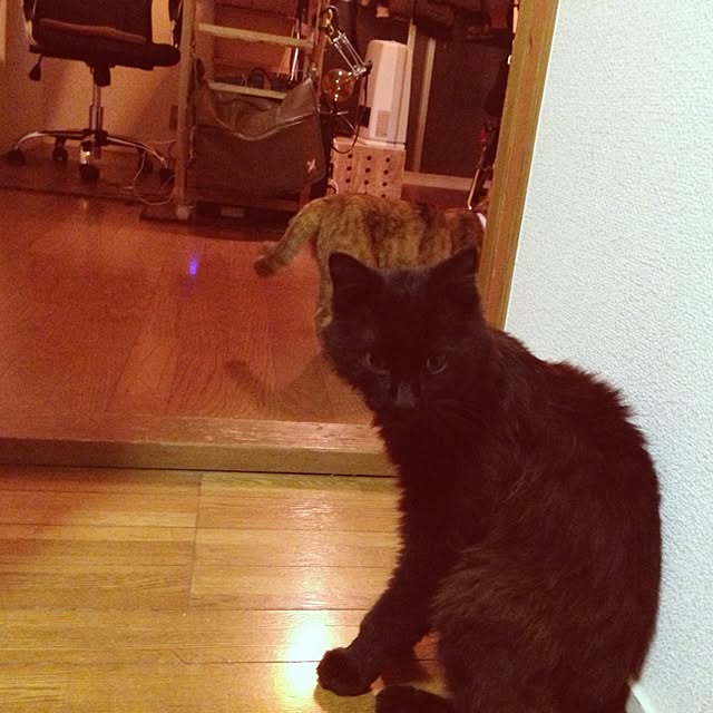 mobiri57さんの実例写真