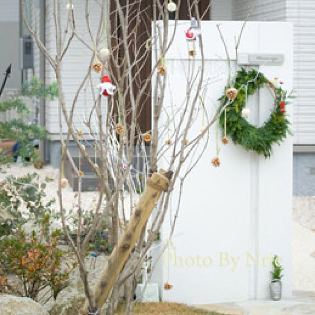 tripcameraさんの実例写真