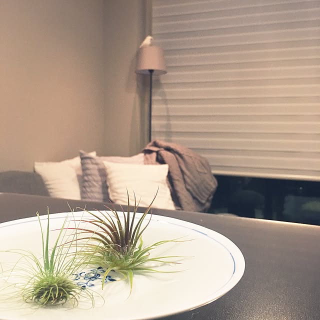 Yucokeさんの実例写真