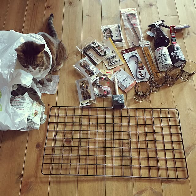 ryugenさんの実例写真