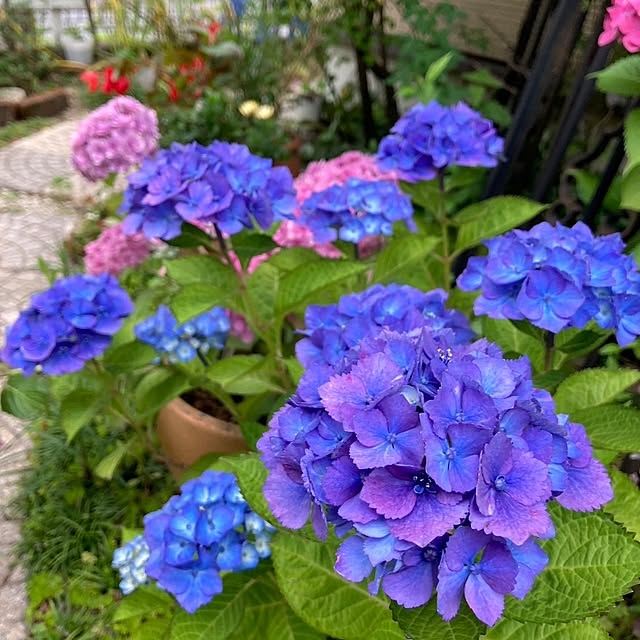 min_nimさんの実例写真