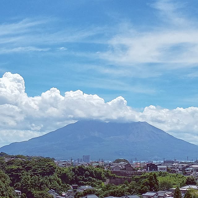 mocomocoさんの部屋