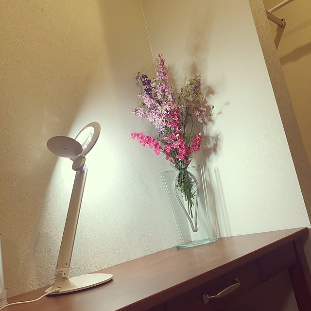 kazu15さんの実例写真
