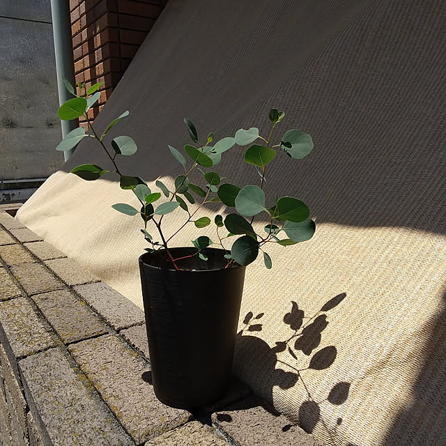 noaさんの実例写真