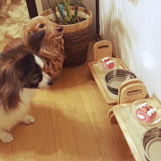 hi-tanさんの実例写真