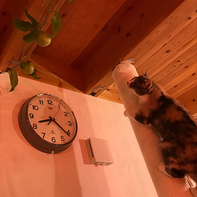 sakurasakuさんの実例写真