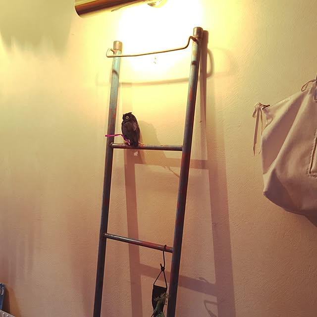 Rincsheさんの実例写真