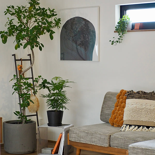 Sakkinさんの部屋