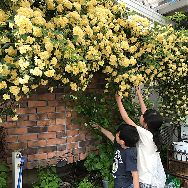 実例写真
