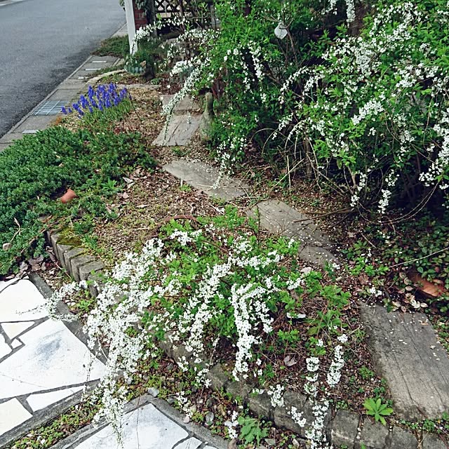 gleenblackさんの実例写真