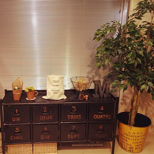 Chikaさんの部屋