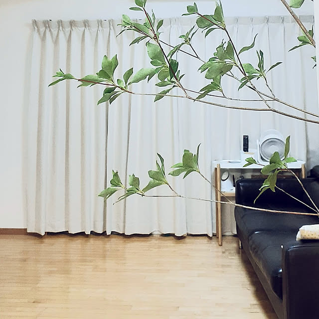 pipiさんの実例写真