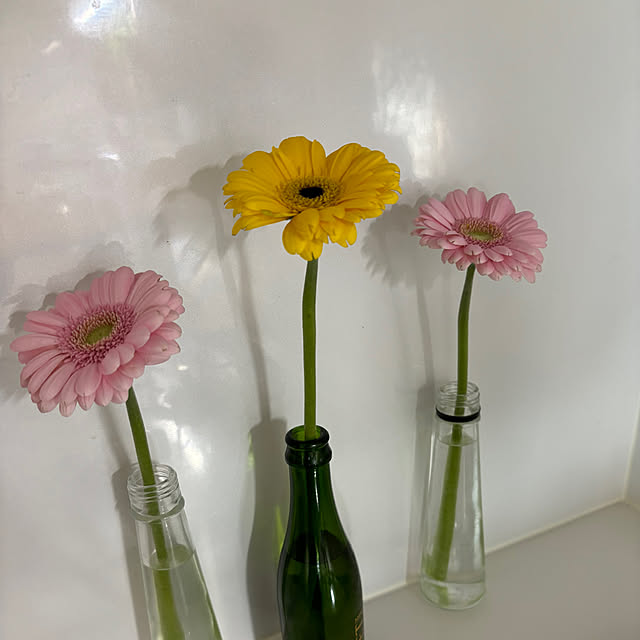 syutmmさんの部屋