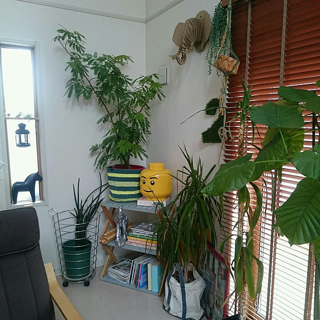 urchinさんの実例写真