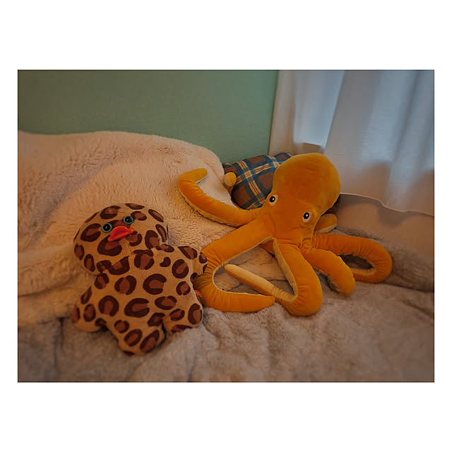 Oriorioさんの部屋