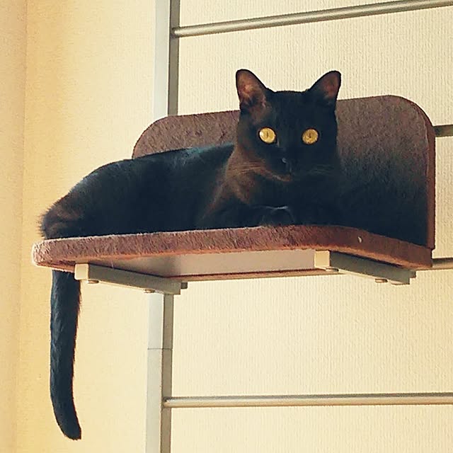 kechonpaさんの実例写真