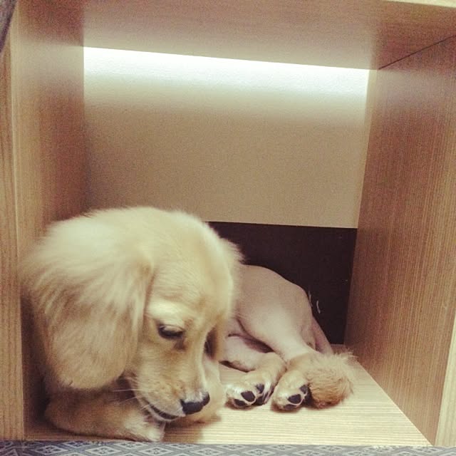 Sさんの実例写真